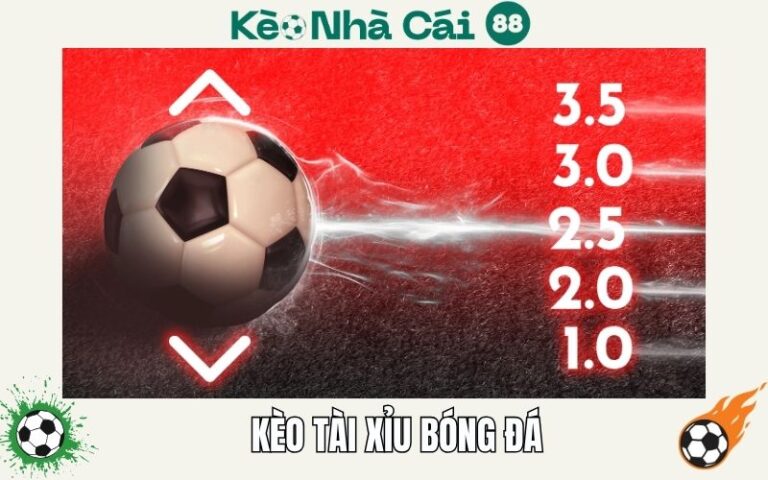 Kèo Tài Xỉu Trong Bóng Đá? Cách Đặt Cược Giúp Người Chơi Hốt Bạc
